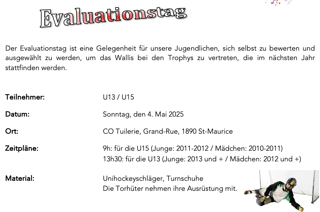 Flyer Evaluationstag DE.png
